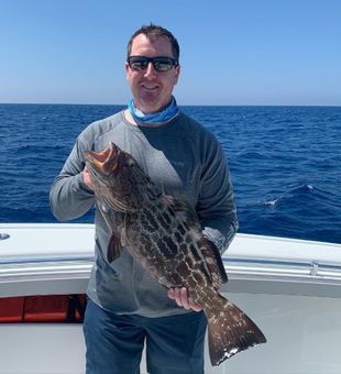 Grouper fishing from Key West, FL